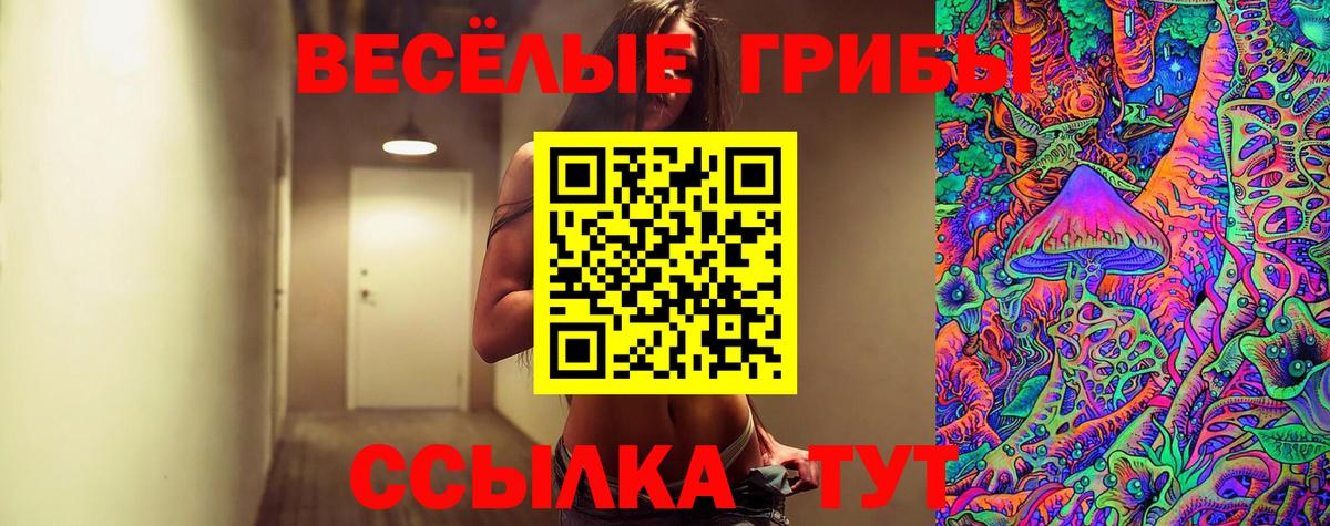 Псилоцибиновые грибы MAGIC MUSHROOMS  Галлюциногенные грибы MAGIC MUSHROOMS  Орёл  Вход с VPN 