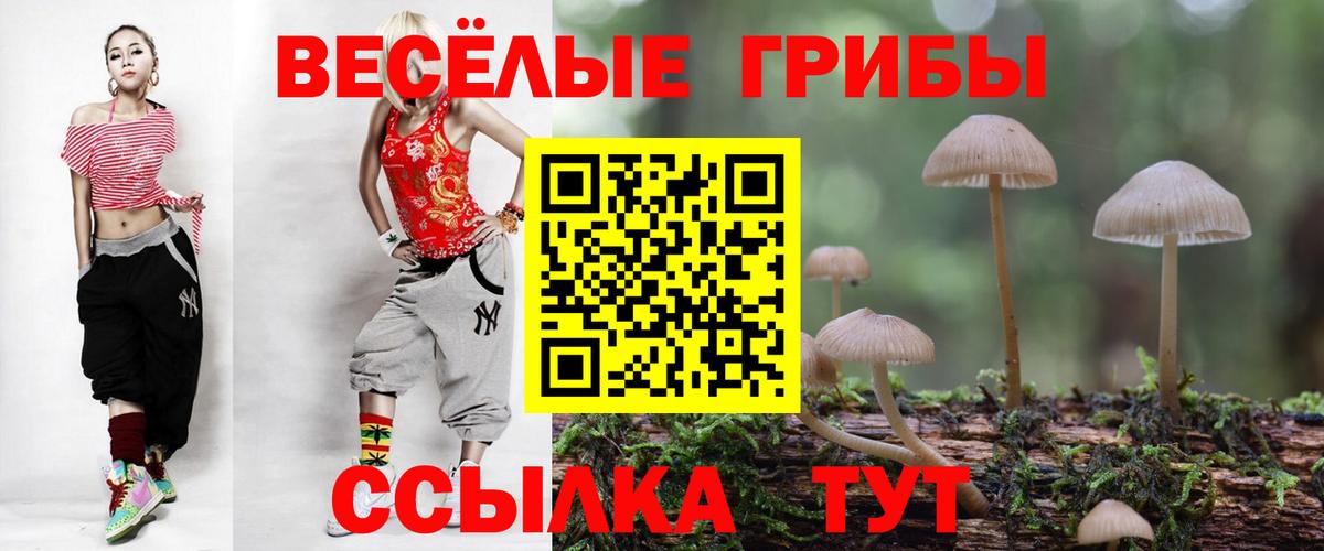 Галлюциногенные грибы Cubensis Орёл